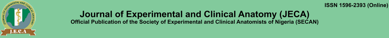 Journal of Experimental and Clinical Anatomy